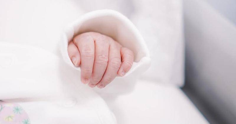 Instagram.com/Vaelovexia